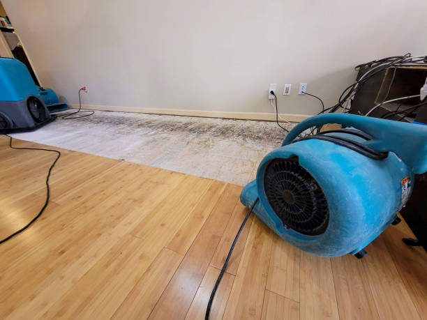 Professional Basement Flood Cleanup technician working in Rothbury, MI